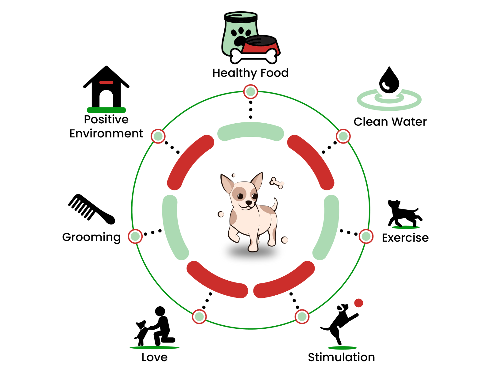 Caring for your dog sales
