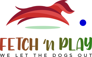 fetch n play toys are dog toys that helps to help your dogs active, healthy and stimulated even when you're not around.