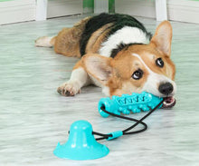 Load image into Gallery viewer, Single Suction Multifunction Interactive Molar Chew Dog Toy
