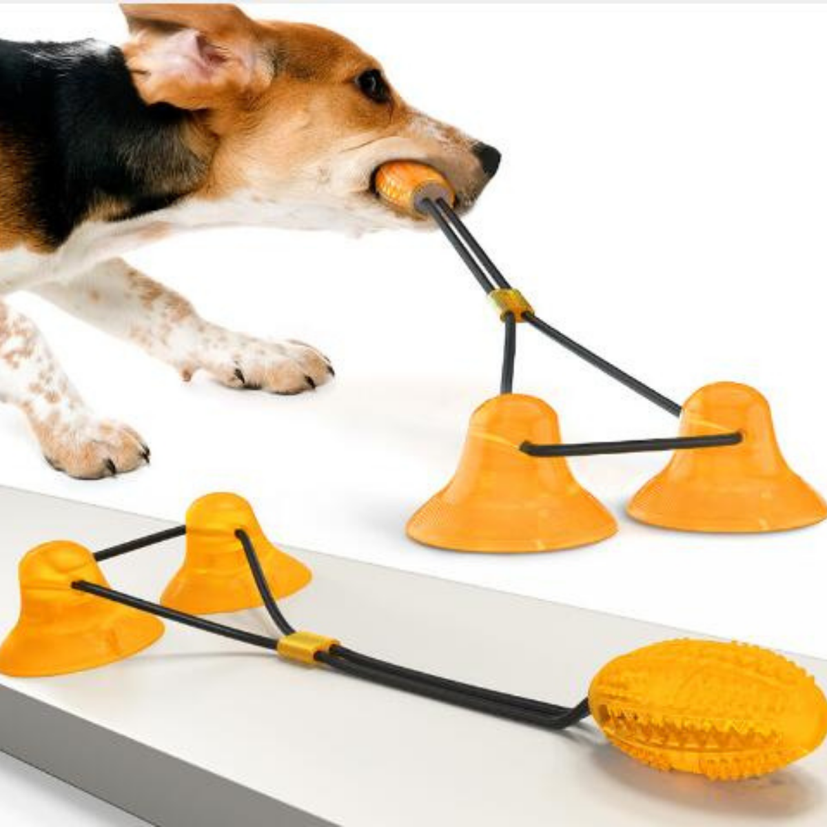 Dog toys best sale for active dogs