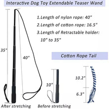 Load image into Gallery viewer, Extendable Teaser Wand/ Flirt Pole for Dogs: Interactive Toy for Small Medium Large Dogs Training Playing Exercise

