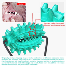 Load image into Gallery viewer, Single Suction Multifunction Interactive Chewy Dog Toy
