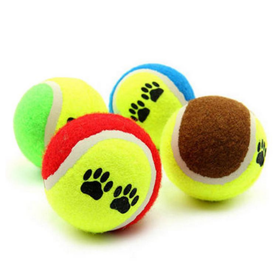 Tennis balls for dogs, balls for training dogs, pet balls, fetch and play balls